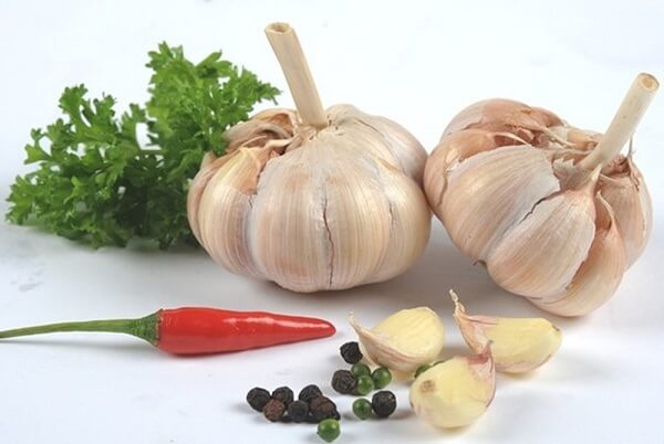 CÃ¡ch phÃ²ng vÃ  diá»t chuá»t vá»i Tá»i - Diá»t cÃ´n trÃ¹ng Anh ThÆ°