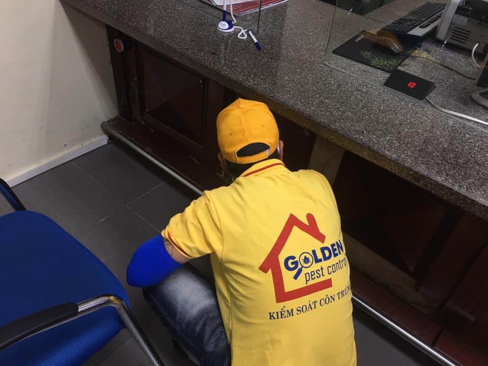 Diet Con Trung Bac Ninh 2